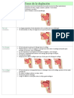 Fases de La Deglución