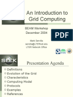 An Introduction To Grid Computing: BEAM Workshop December 2004