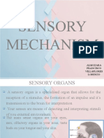 Sensory Mechanism: Almozara Francisco Villaflores Lorenzo