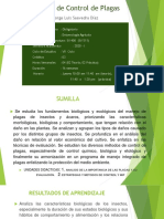 Clase P CONTROL P Semana 1 PDF