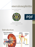 Acute Glomerulonephritis: Mohd Zamir Ghouse 060100848