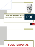 Tema 7 Fosas y Cavidades II - Temporal, Cigomática y Pterigopalatina