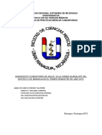 Diagnostico PDF