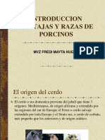 4 Introduccion, Ventajas y Razas PDF