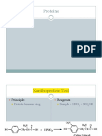 Protein Lab PDF