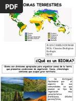 Biomas Terrestres