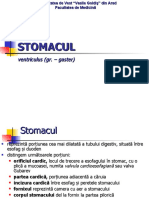 Stomacul