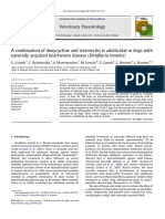 Heartworm Doxycycline Ivermectin