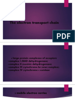 The Electron Transport Chain