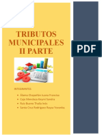 Grupo Vii - Tributos Municipales Parte Ii