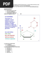 Ácidos Nucleicos-Resumen