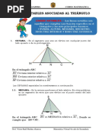 Lineas Notables Asociadas Al Triangulo PDF