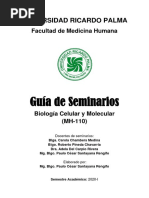 Guia de Seminarios 2020-I