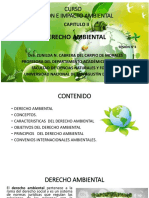 Sesión 4 Derecho Ambiental