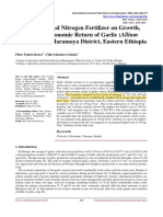 Effect of Mineral Nitrogen Fertilizer On Growth, Quality and Economic Return of Garlic