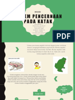 Sistem Pencernaan Pada Katak