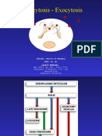 Endocytosis - Exocytosis16eng