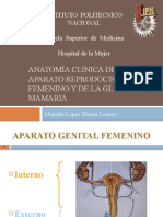 Anatomía Clinica Del Aparato Reproductor Femenino y de