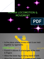 Human Locomotion and Movement