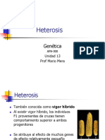 13 Heterosis