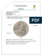 Reporte 4 Micros PDF