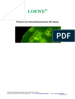 Loewe: Protocol For Immunofluorescence (IF) Assay