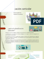 Planificación Curricular 2020