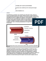 Anatomía de Vasos Sanguíneos