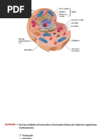 La-Celula Compress PDF