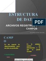 ARCHIVOS, REGISTROS Y CAMPOS - PPSX