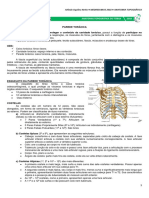 MEDRESUMOS 2018 - ANATOMIA TOPOGRÁFICA - Tórax