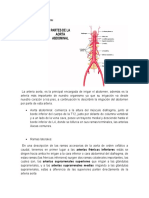 Irrigación Del Abdomen