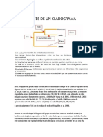 Partes de Un Cladograma