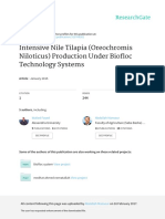 Intensive Nile Tilapia (Oreochromis Niloticus) Production Under Biofloc Technology Systems