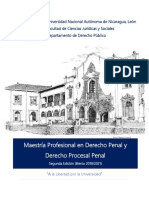 Maestria - DerechoPenal - DerechoProcesal Penal