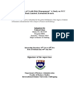 Credit Risk MNG-NCCB