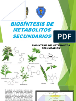 Biosíntesis de Metabolitos Secundarios. UNSCH