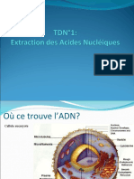 TD N - 01 - Extraction Des Acides Nucléiques