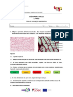 Ficha de Avaliação Diagnóstica 9º Ano