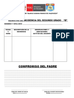 Registro de Incidencia BSFV