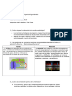 Taller de Membranas