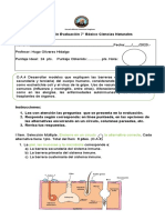 Ciencias Adecuada 7°