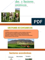 1.actividades y Sectores Economicos PDF 2020