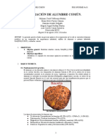 Preinforme Preparación de Alumbre Común.