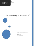 Las Proteínas y Su Importancia