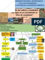 Medio de Cultivo y Sustitutos Del Agar en El Crecimiento in Vitro de Orquídeas"