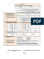 FORMATOS - RIESGOS - Puentes