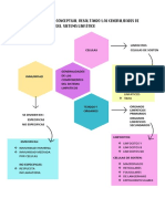 Mapa Conceptual Histologia