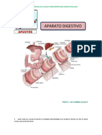 Apunte Histologia Aparato Digestivo