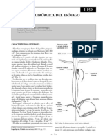 Anatomia de Esofago